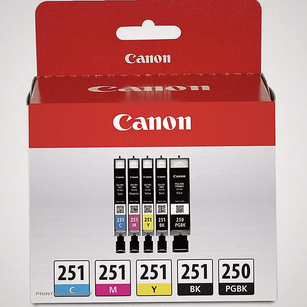 Canon 250 251 Ink Cartridge PGI250 CLI251 Set of 5 NEW OEM Genuine Setup No Box